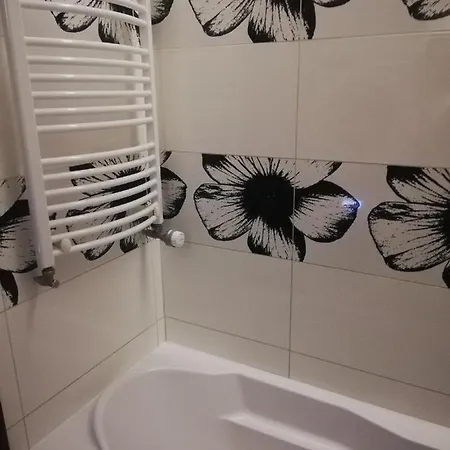 Apartament Karina ,centrum,blisko Plazy Miejsce Parkingowe Strzezone Daire *